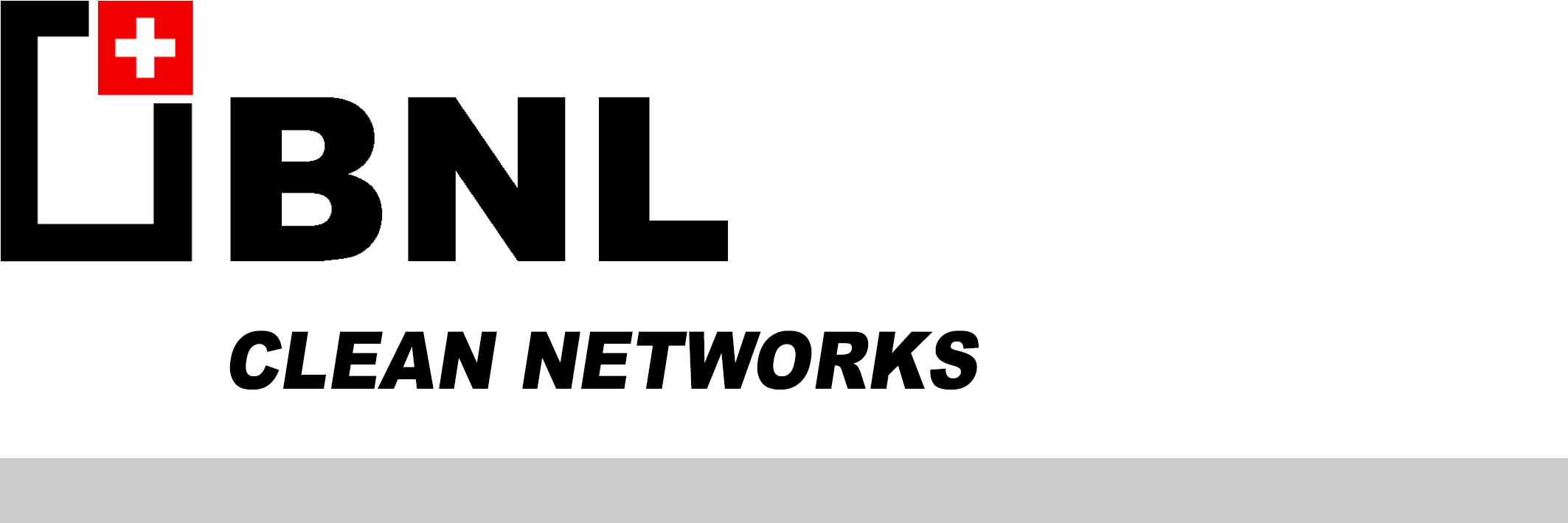 BNL Clean Networks